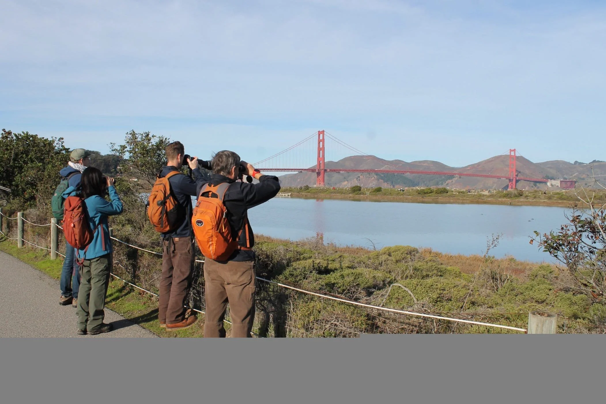 San Francisco Christmas Bird Count