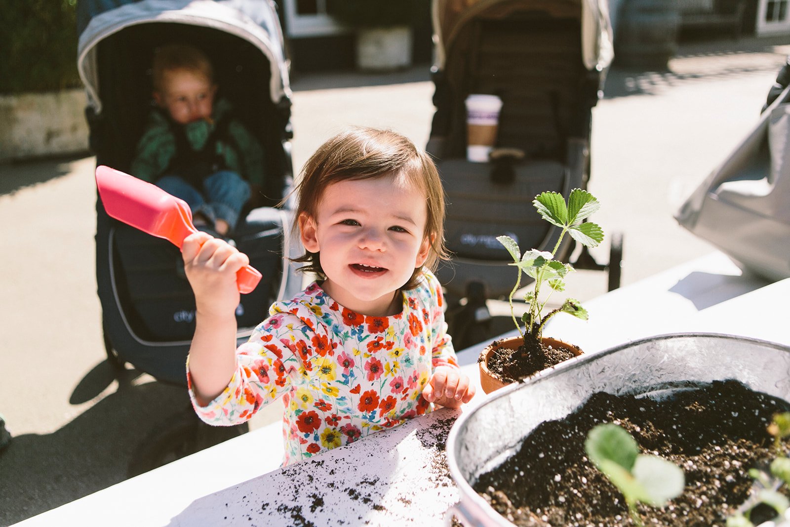 Plant a Posy for Mom