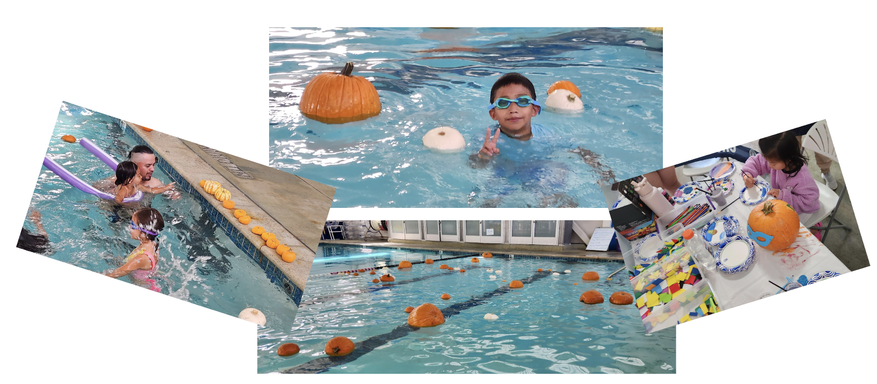 Albany Floating Pumpkin Patch