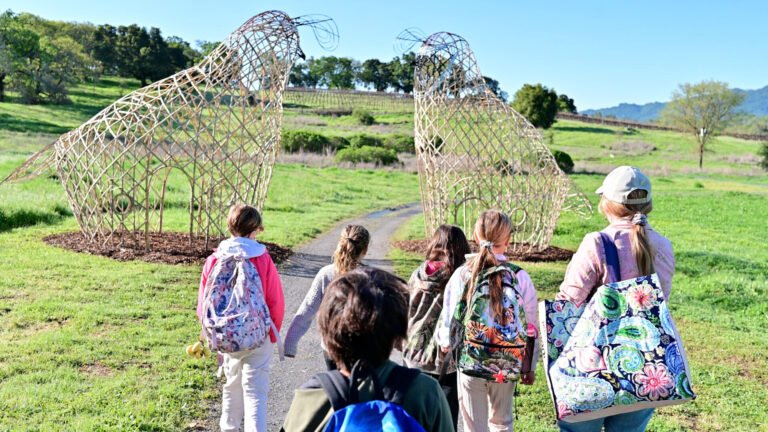 Sonoma Botanical Garden’s Sunday Funday