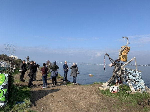 Oakland Christmas Bird Count