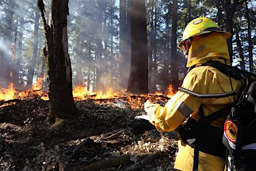 Beneficial Fire Talk With State Parks Interpreter II Ryan Forbes