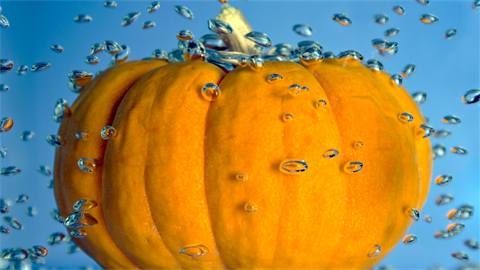 Menlo Park Pumpkin Splash