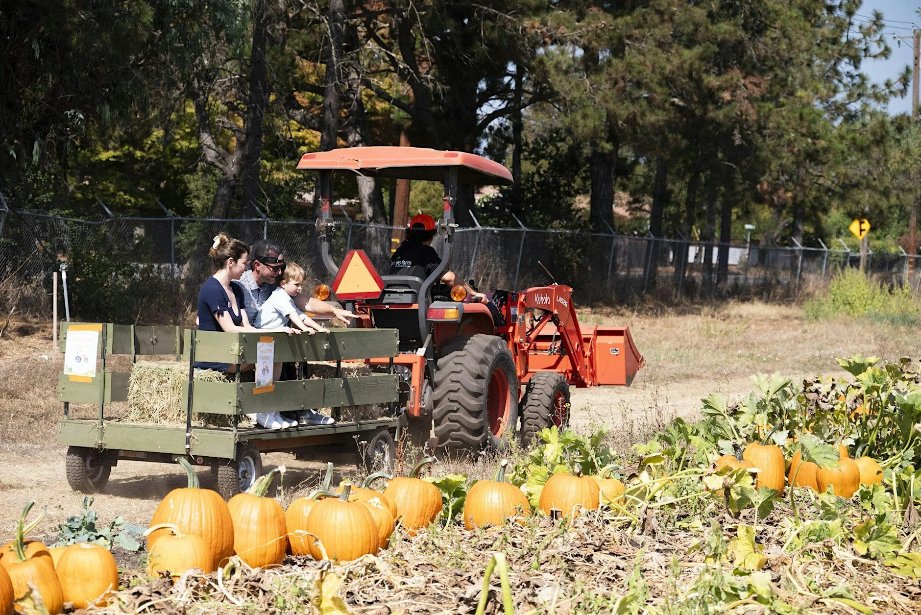 Sonoma County Weekend Along Farm Trails