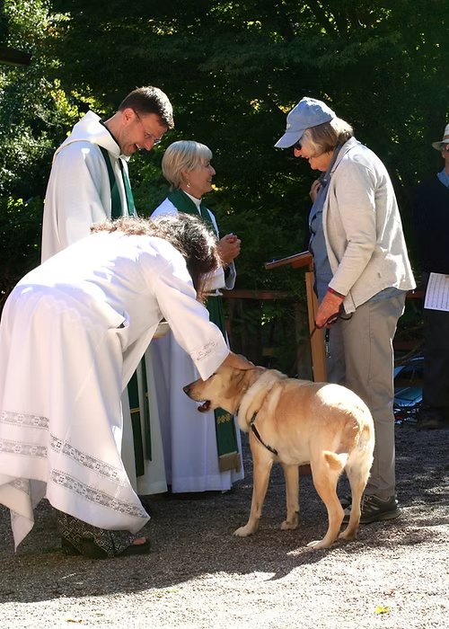 St. Columba's Blessing of the Animals