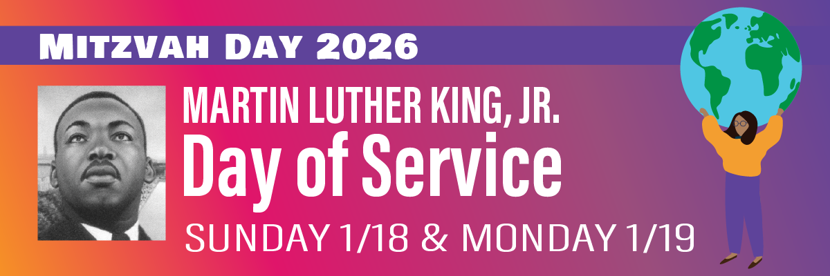 Dr. Martin Luther King Jr. Day of Service, Mitzvah Day