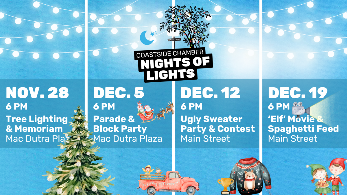 Christmas Tree Lighting and Decorating