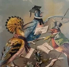 A Dream of Flight
