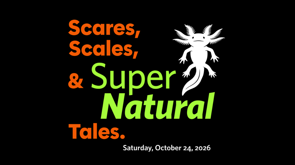 SAN FRANCISCO: SuperNatural