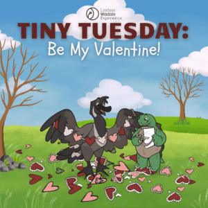 Tiny Tuesday: Be My Valentine!