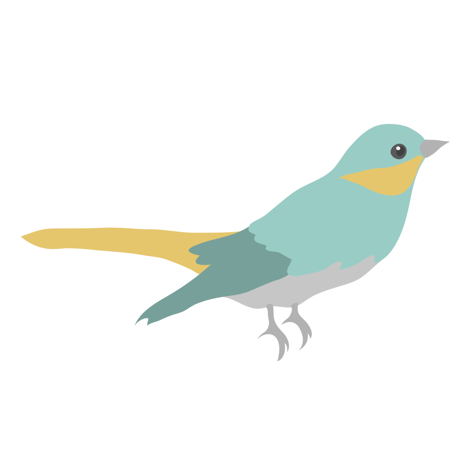 Guess Who’s Beak and Feathers?