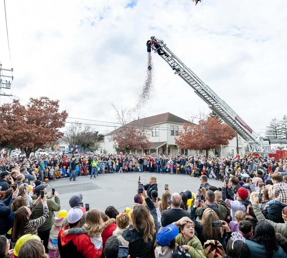Novato: Bouncy Ball New Year
