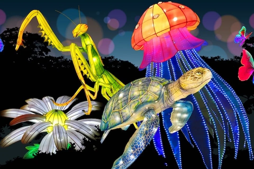 Glowfari at the Oakland Zoo