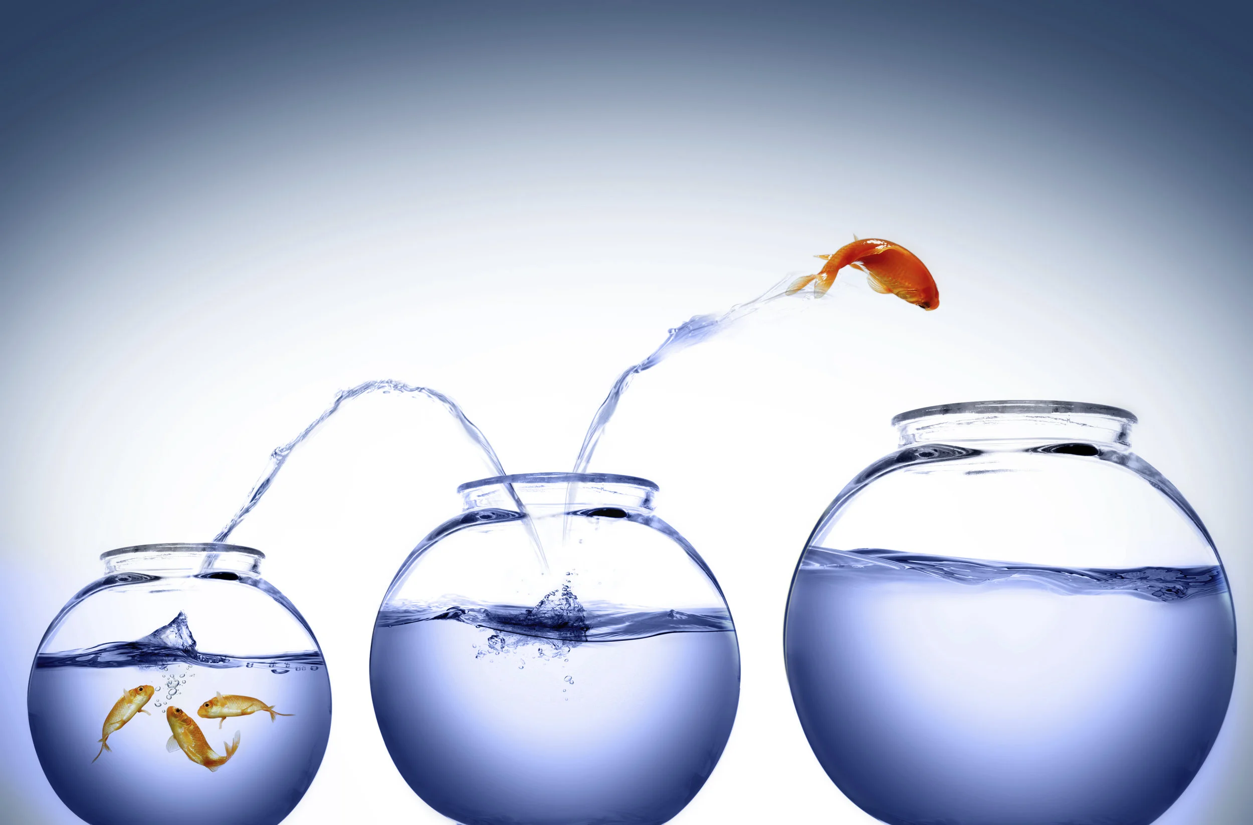How to find ways toward that bigger expanse!