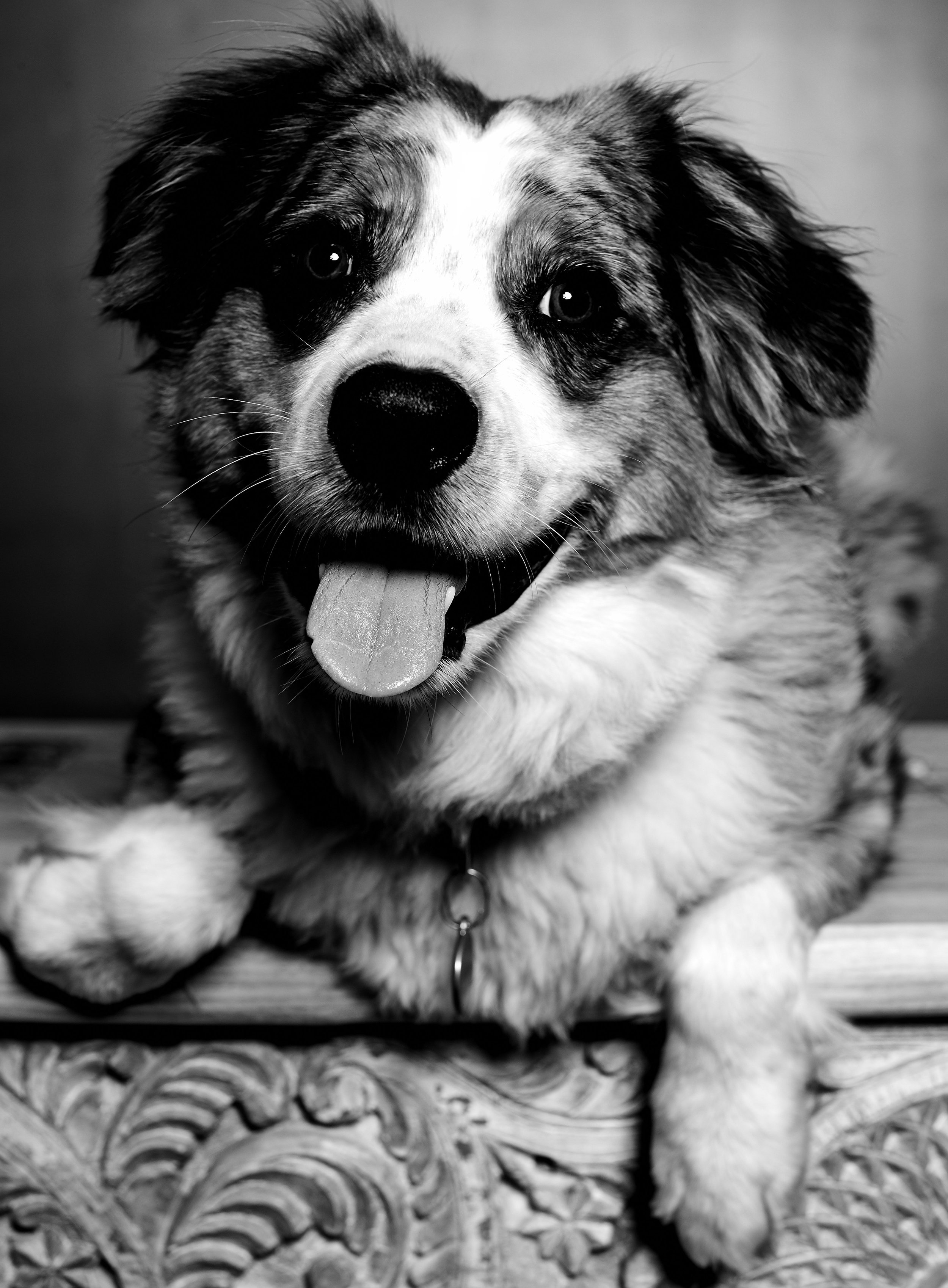 20200901_levi_0077_.jpg