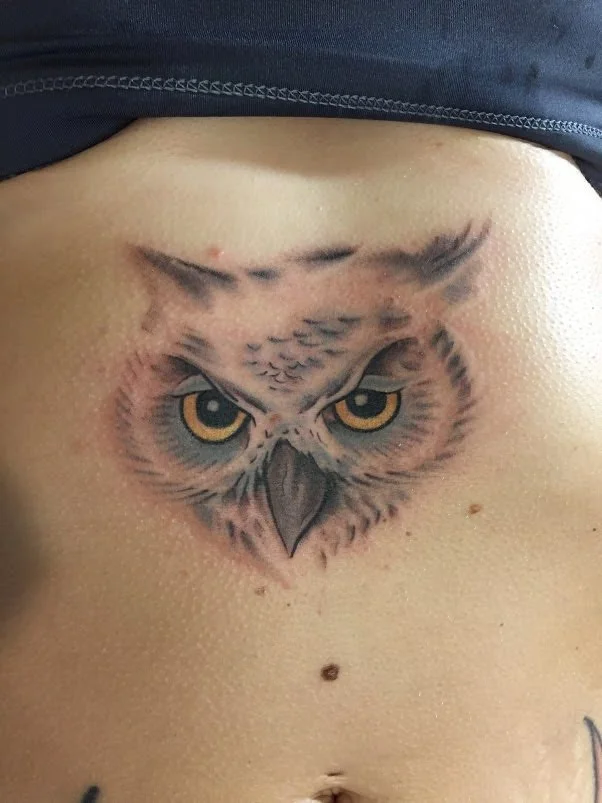 Owl.jpg