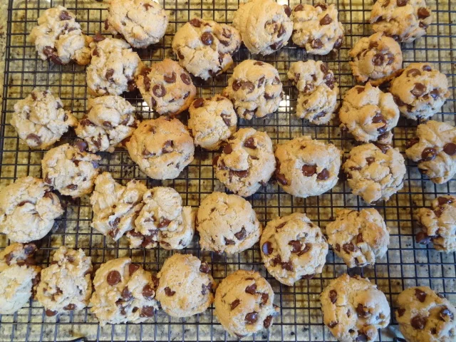 Lesley's Low Fat Chocolate Chip Cookies