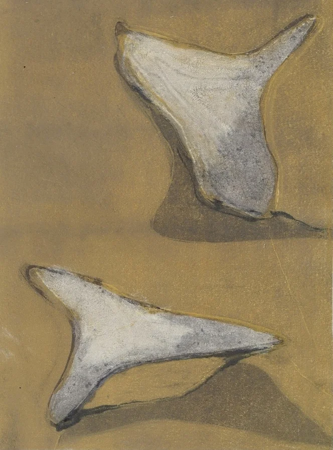 Sharks Teeth: 6"x 8"