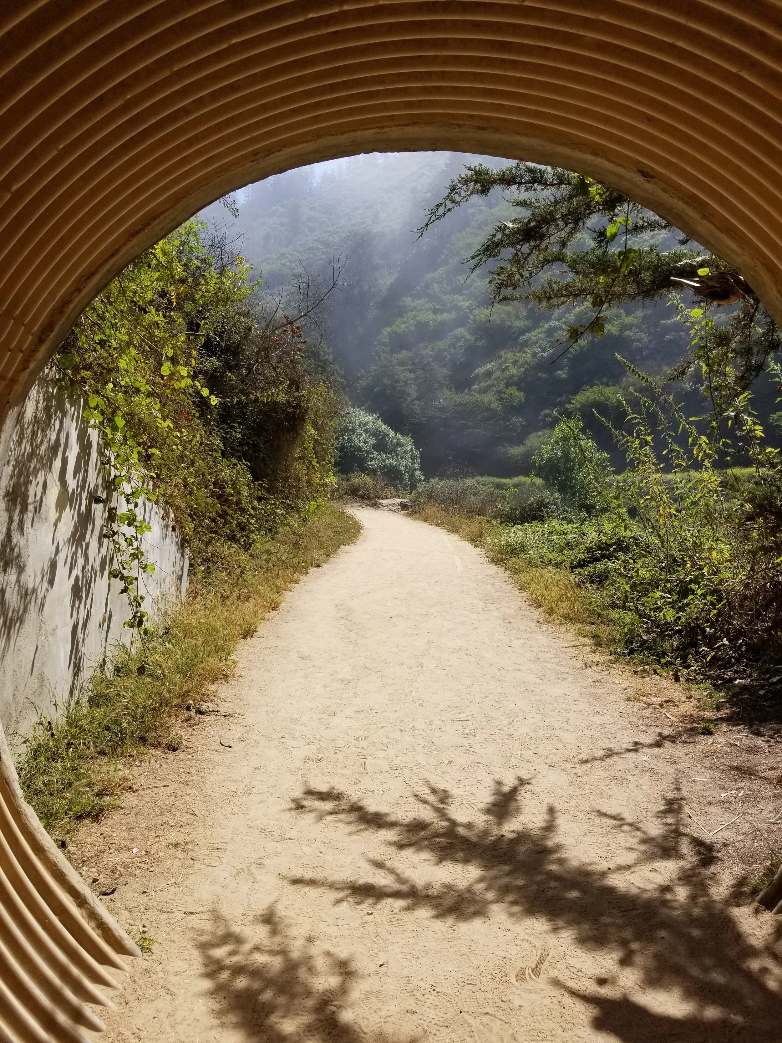 Perspective