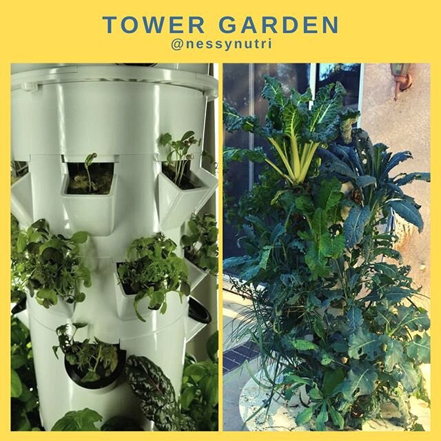 This is a cool idea from @nessynutri - the tower garden. Takes 90% less water than a regular garden, 90% less soil, way less space, and you can grow your own food. Very cool idea. And you can grow a bunch of different types of plants - love this idea