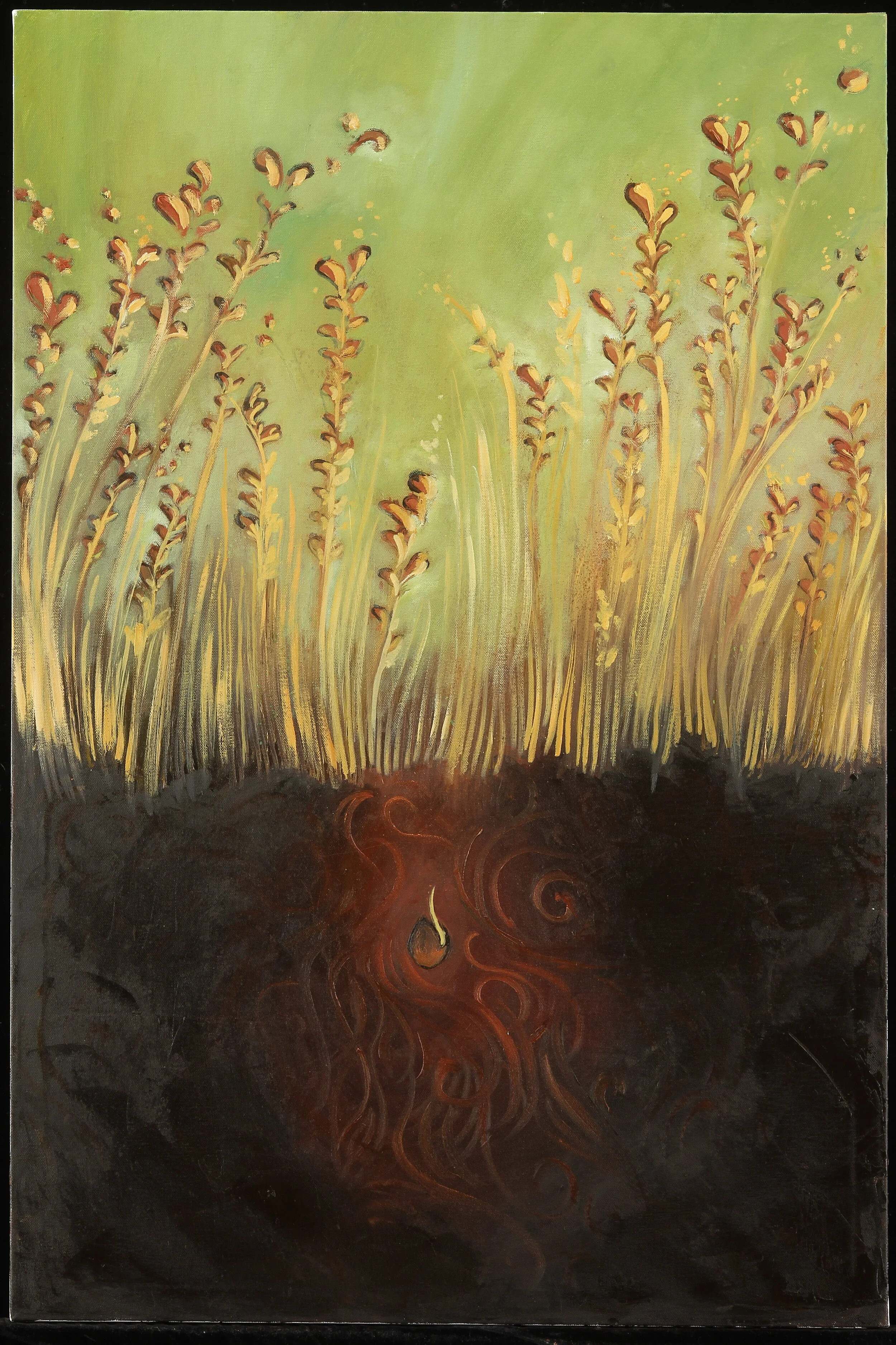 Every Seed Dies Before it Grows1.JPG