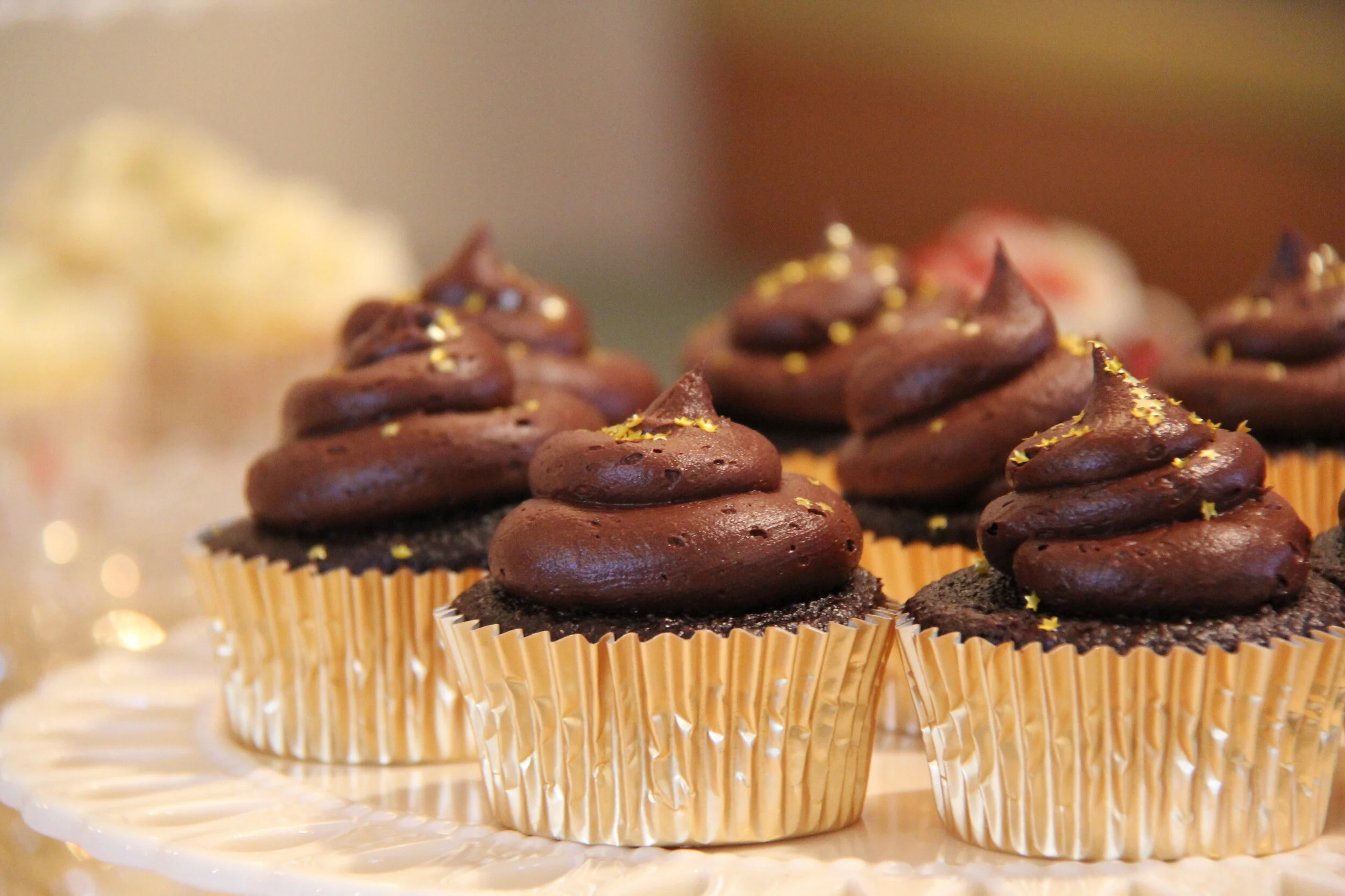 Karen's Cupcakes1.JPG