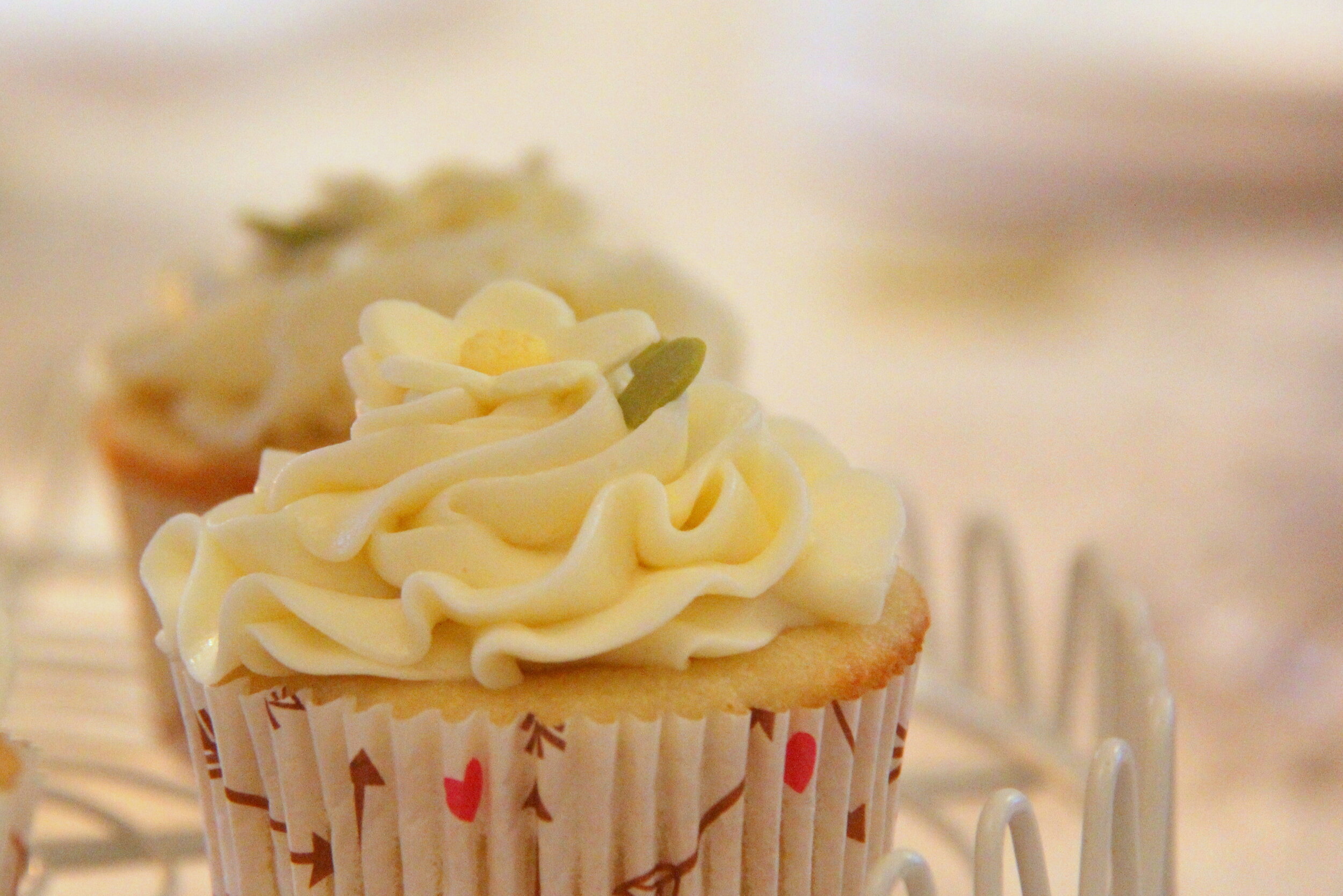 Karen's Cupcakes2.JPG