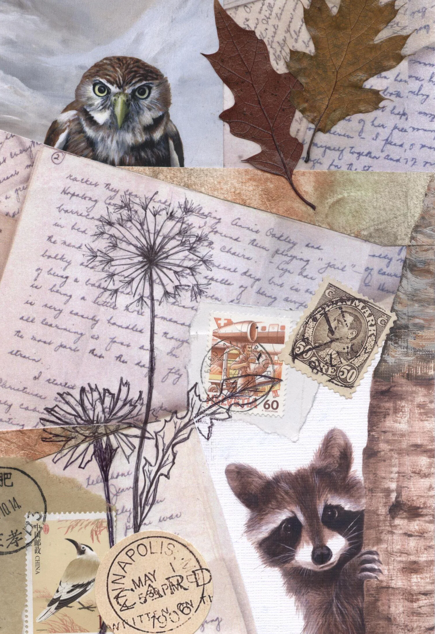Owl & Raccoon Collage - by Karen Robinson — Creative Interfaces