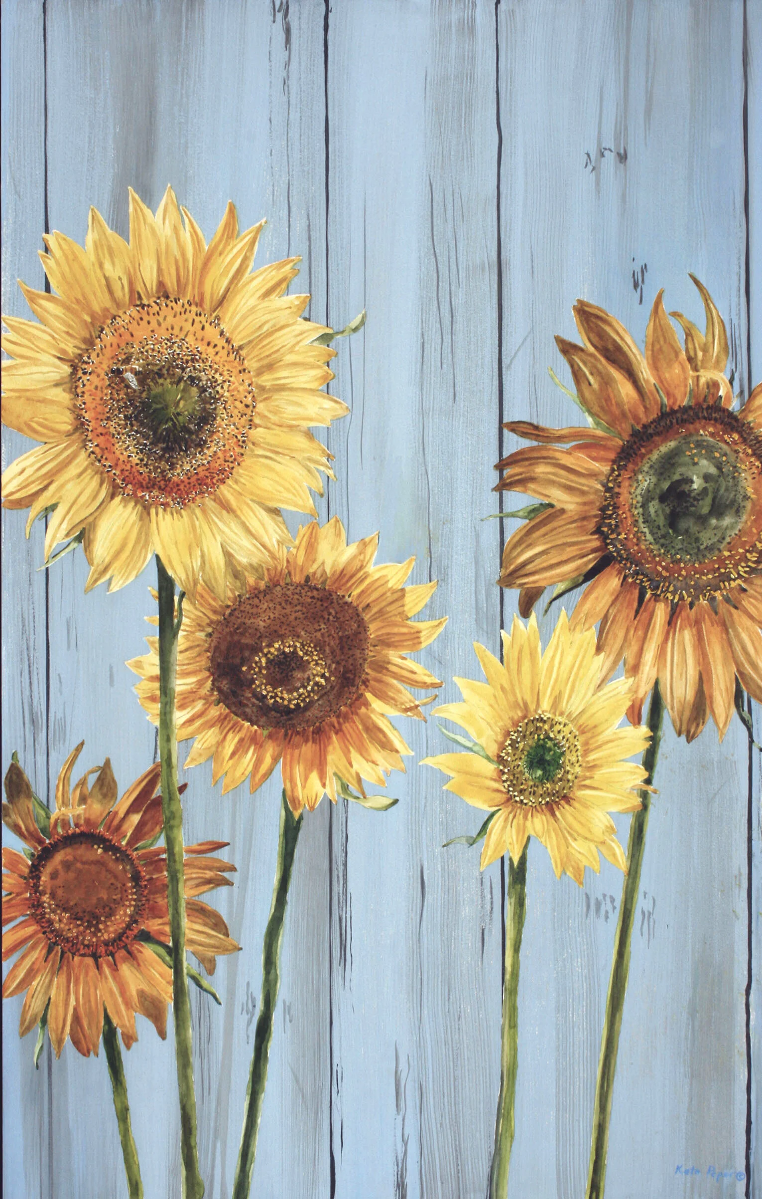 Ashley's Sunflowers - by Kate Peper — Creative Interfaces