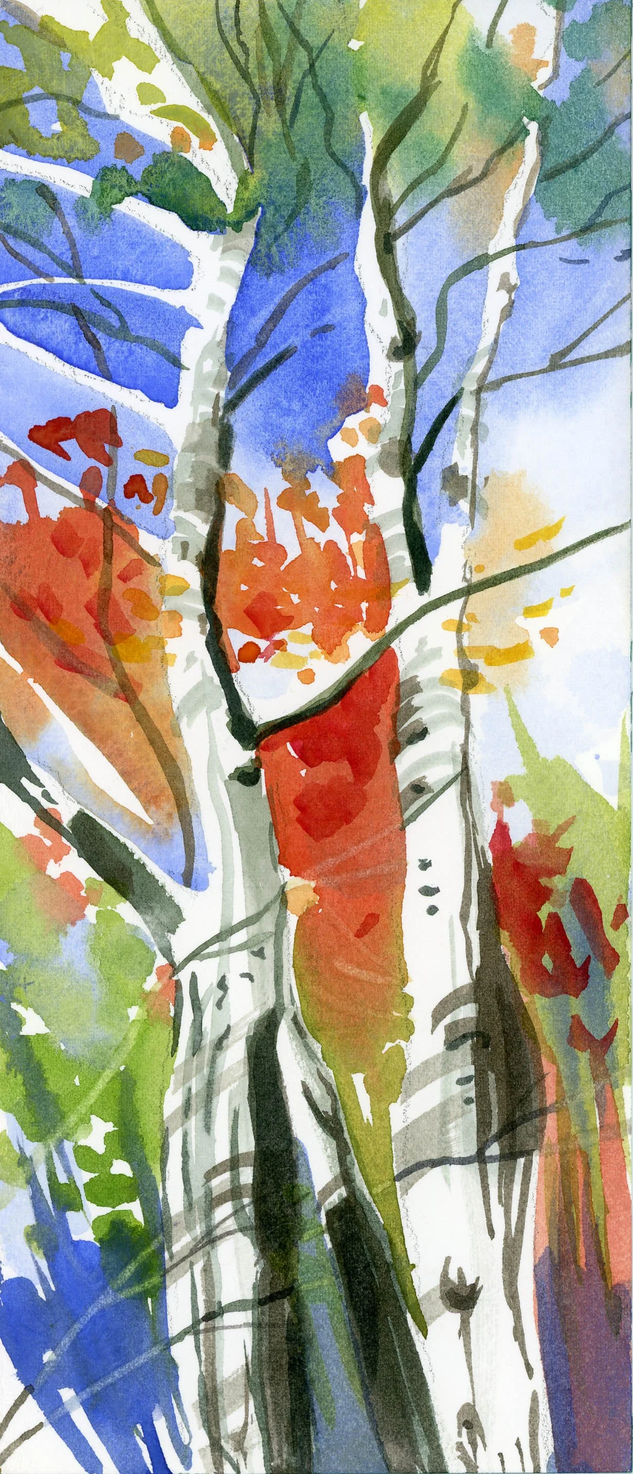 April's Maples copy.jpg