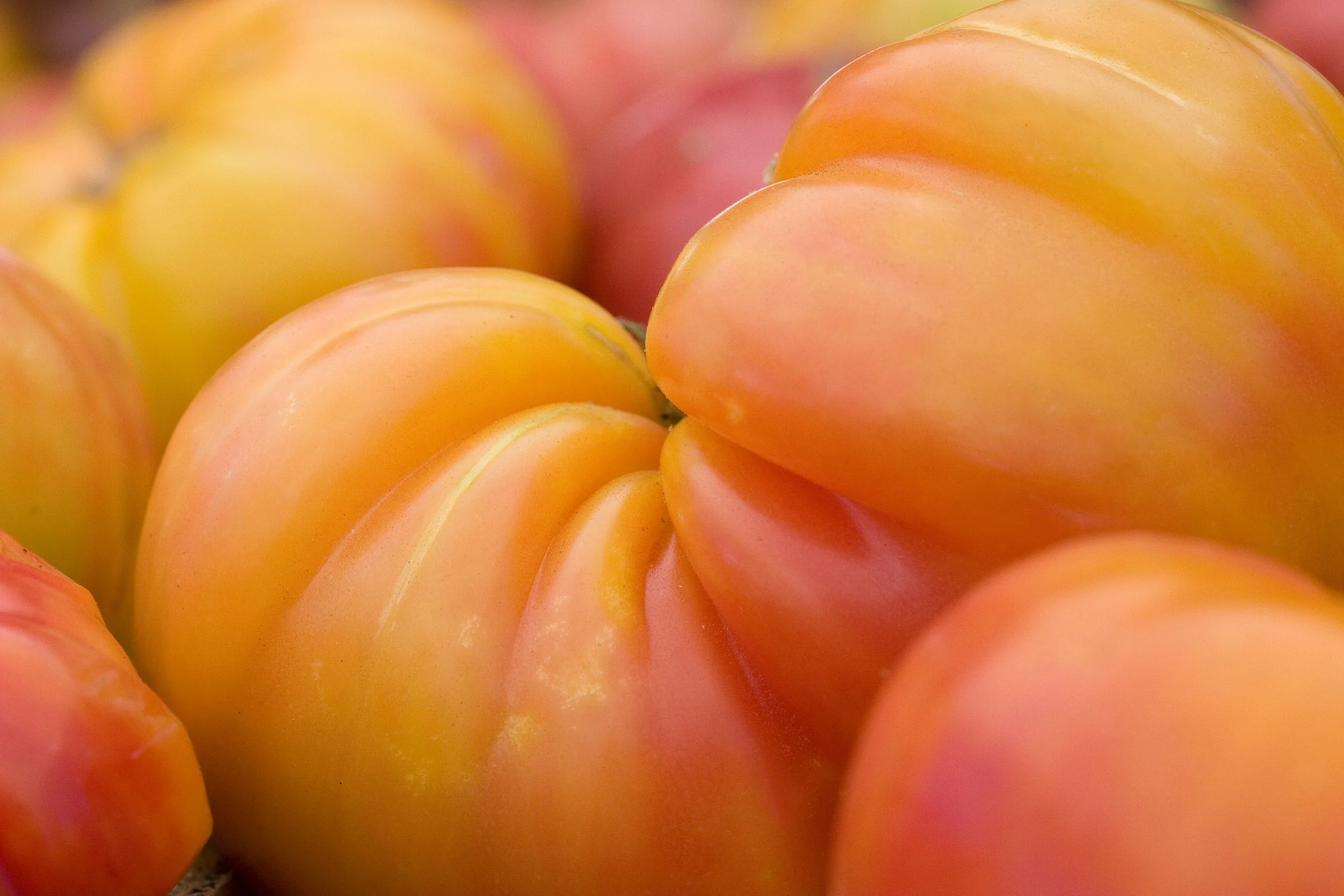 MB Veggies Tomatoes.jpeg