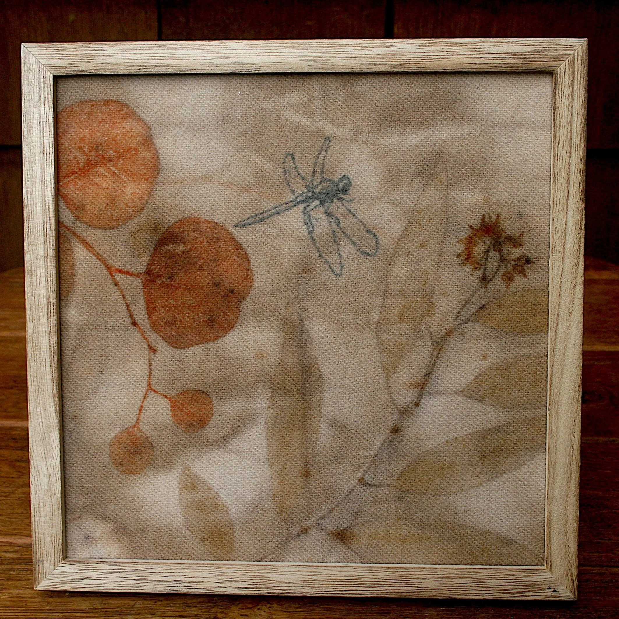 Framed Botanical Art