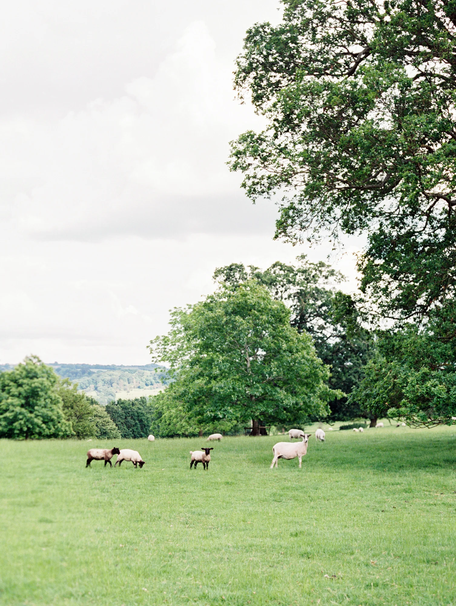 Cavin Elizabeth - Cotswowlds Flutter Retreat Welcome Day 8.jpg