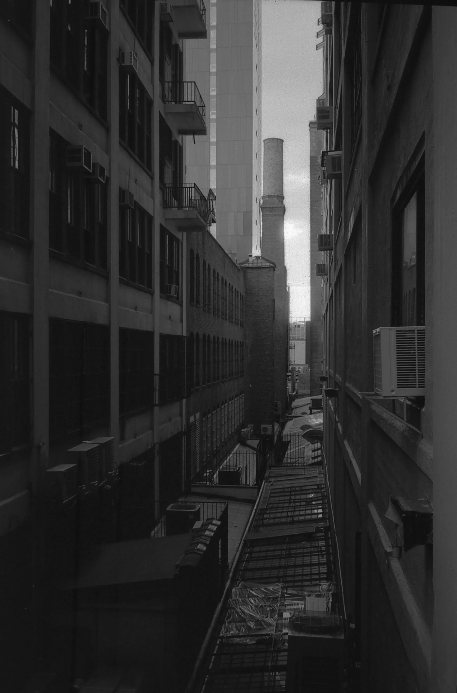 img004.jpg