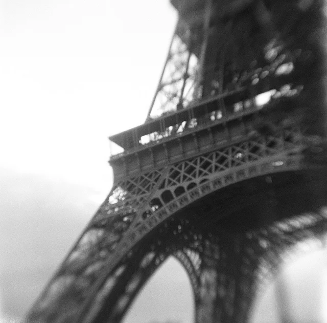 11812965315_01729d3ca7_z.jpg