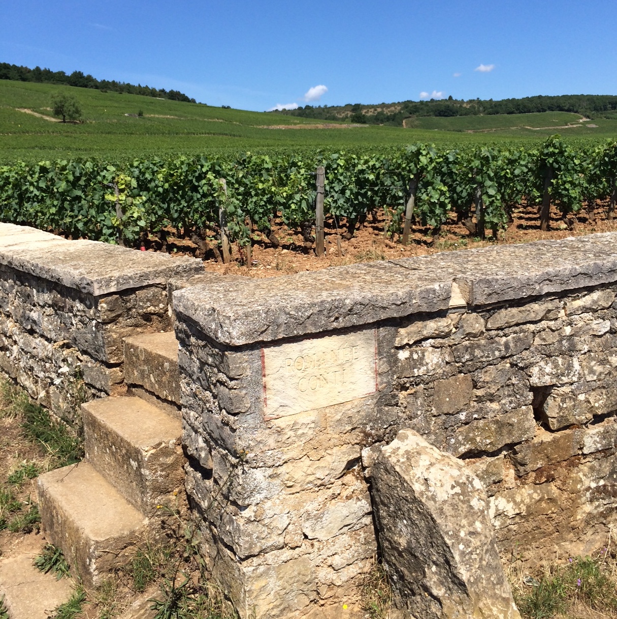 La Romanee-Conti