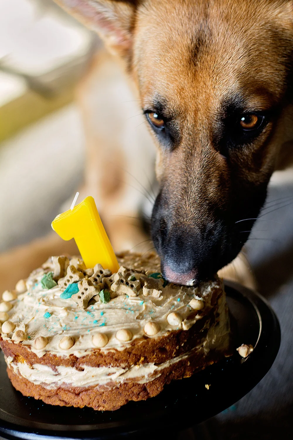 Cake_Smash_0005.jpg
