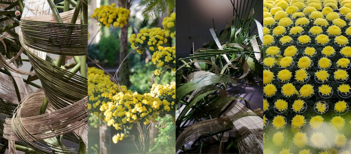 After Hours Tour, Blooms and Bamboo, Longwood Gardens