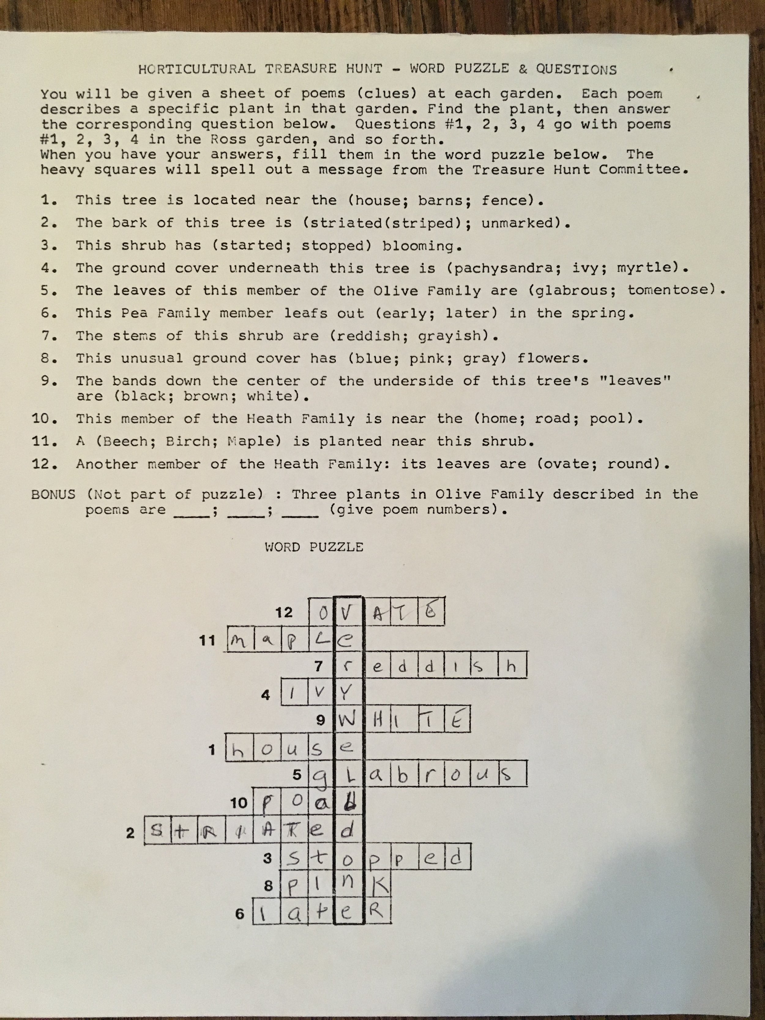 image1-4.jpeg