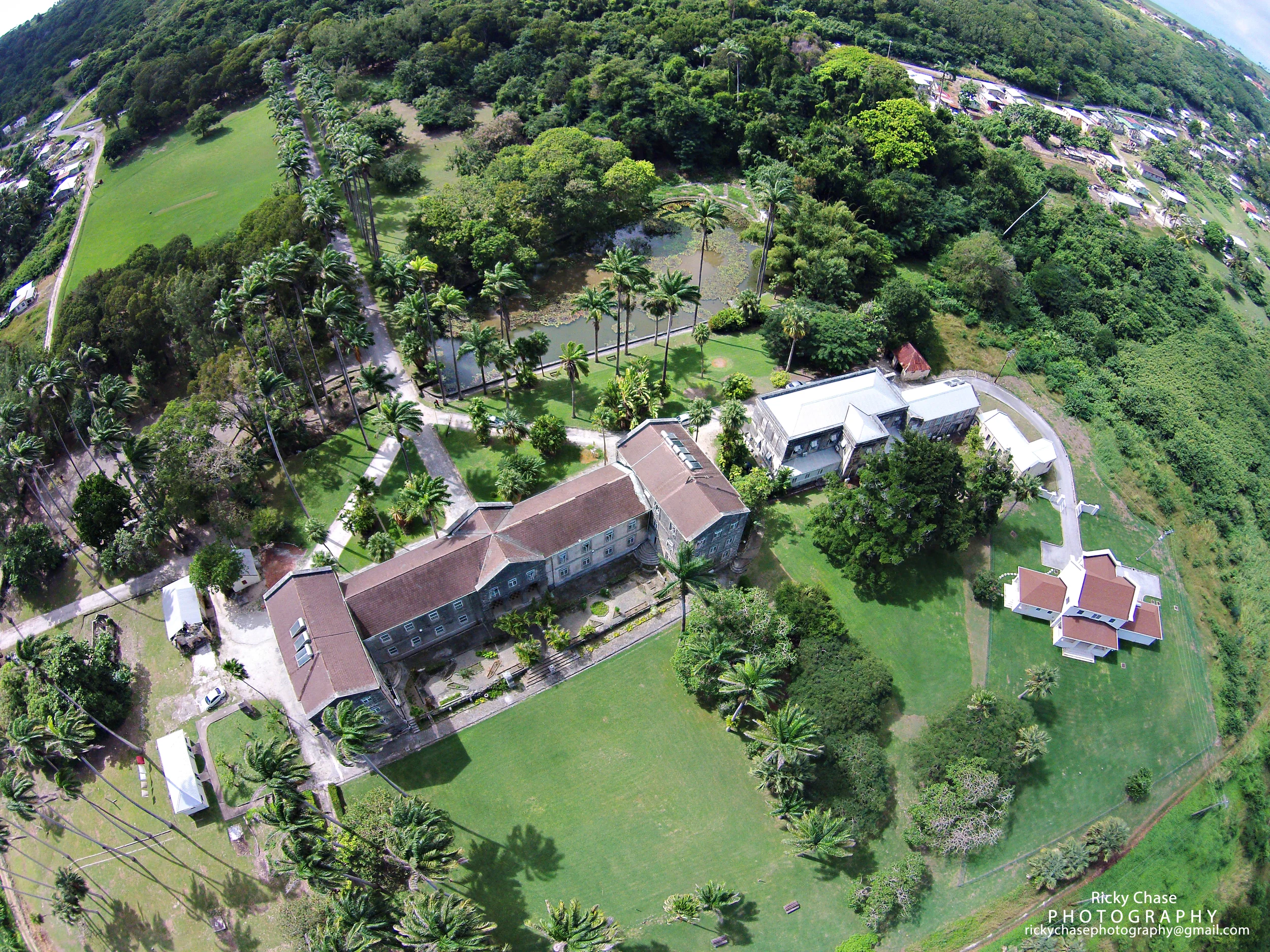 Codrington Collage