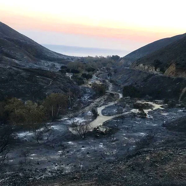 Leo Carillo State Park campgrounds devastated by the Woolsey fire- Malibu, CA 📷: Sgt. John Regan, CA State Parks, Lifeguard Supervisor, Angeles District