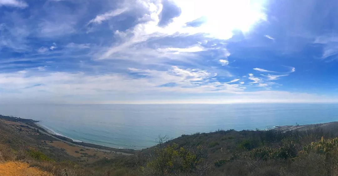 11-4-18 leocarrillo.jpg