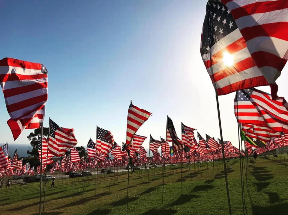 Waves of Flags