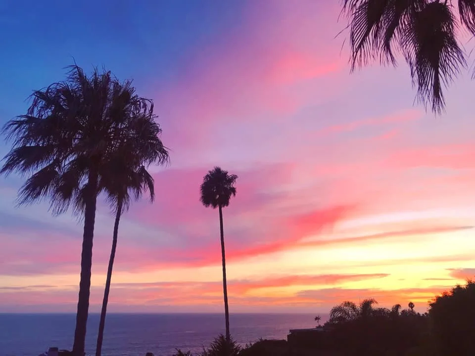 Paradise Found