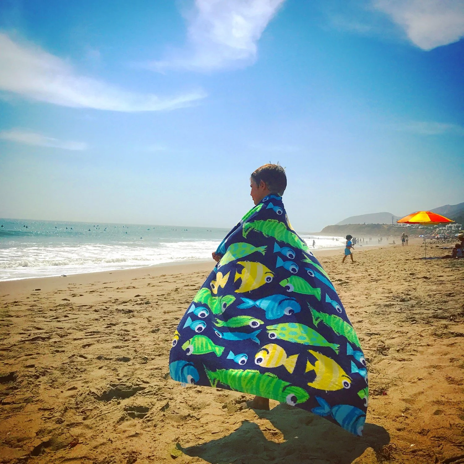 Ocean Warrior