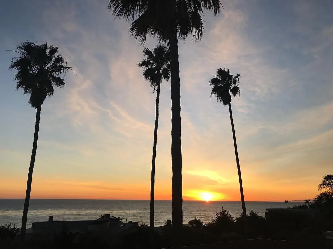 No Filter Rant