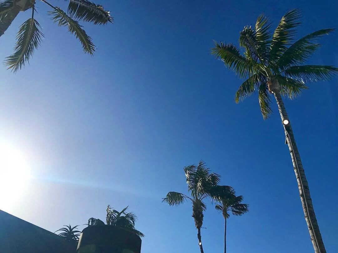 Relax into the Moment