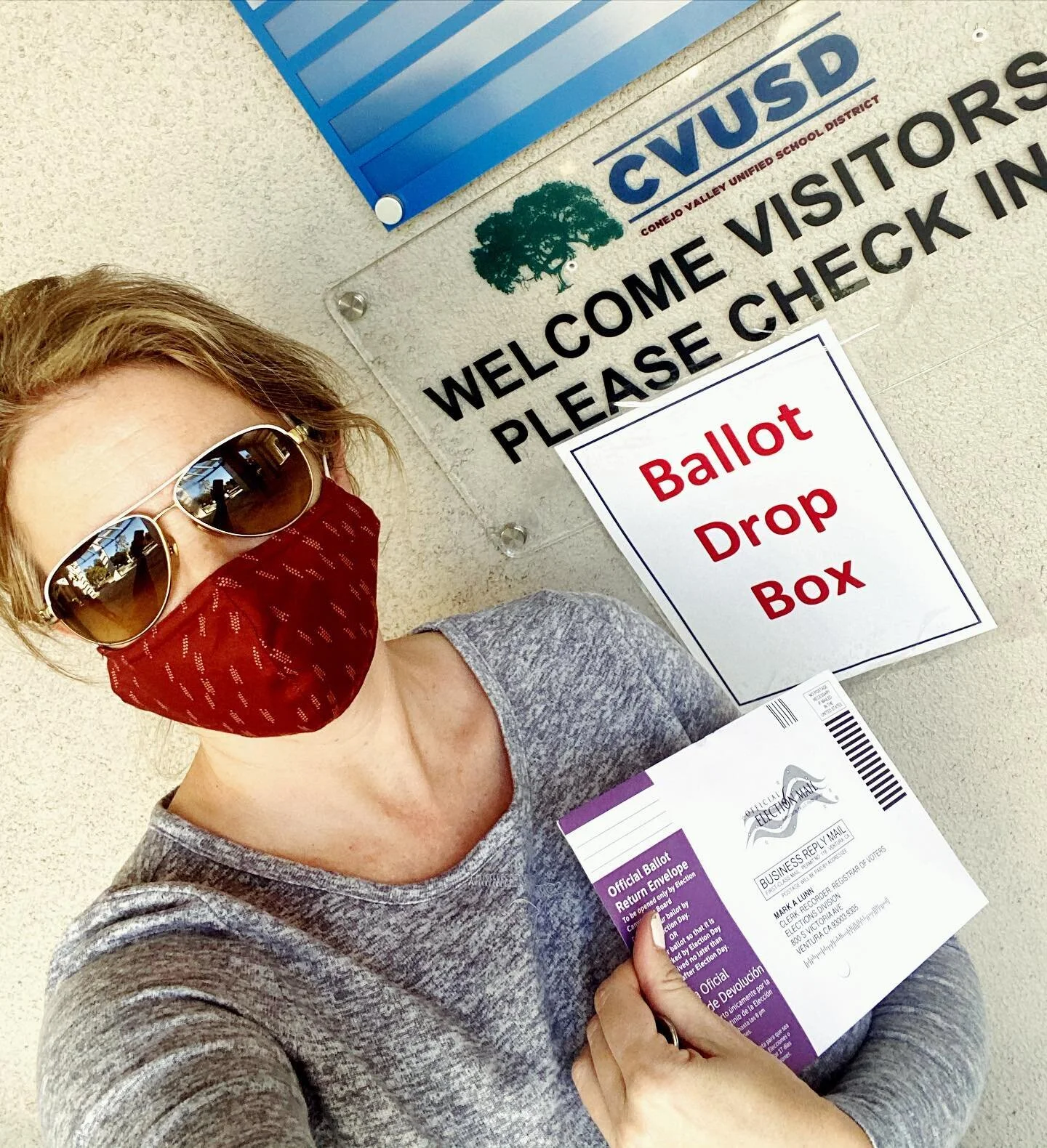 Pandemic Election