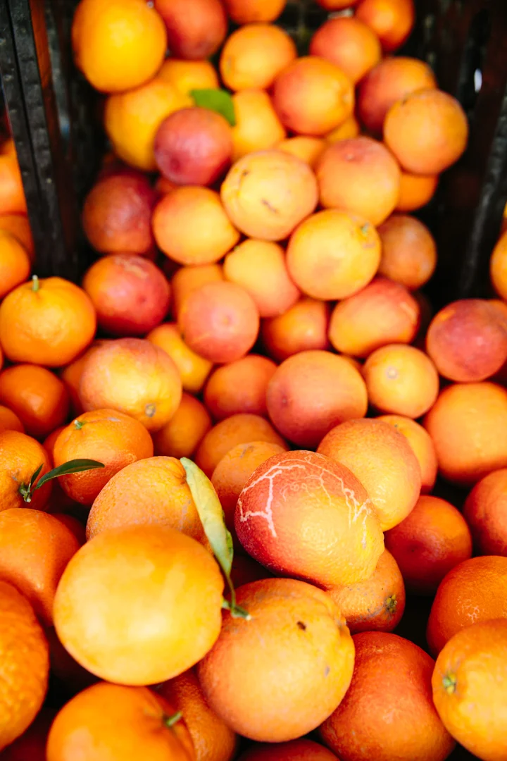 SMVG_WED-FARMERMARKET_40.jpg