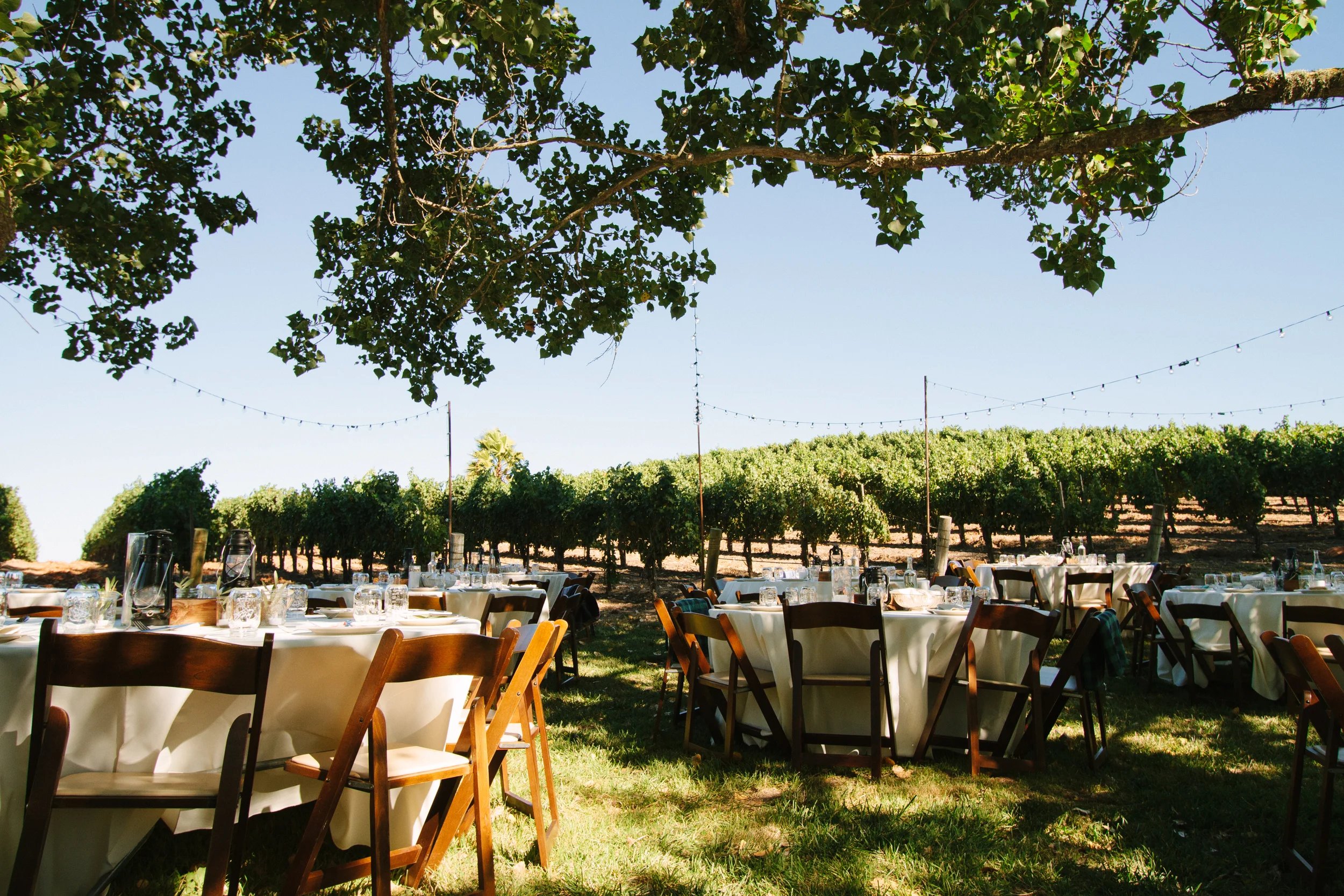 150822_BUTTONWOODFARMDINNER_01.jpg